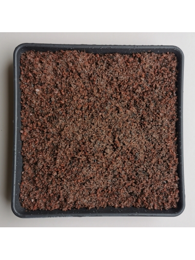 Raudono granito atsijos 0-2 mm, 20kg